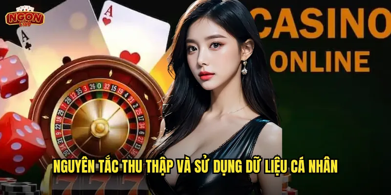 Nguyên tắc thu thập và sử dụng dữ liệu cá nhân